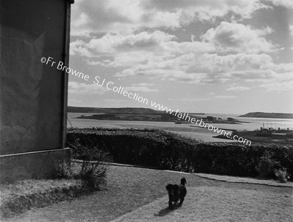 VIEW OF CORK HARBOUR FROM FORT VILLAS